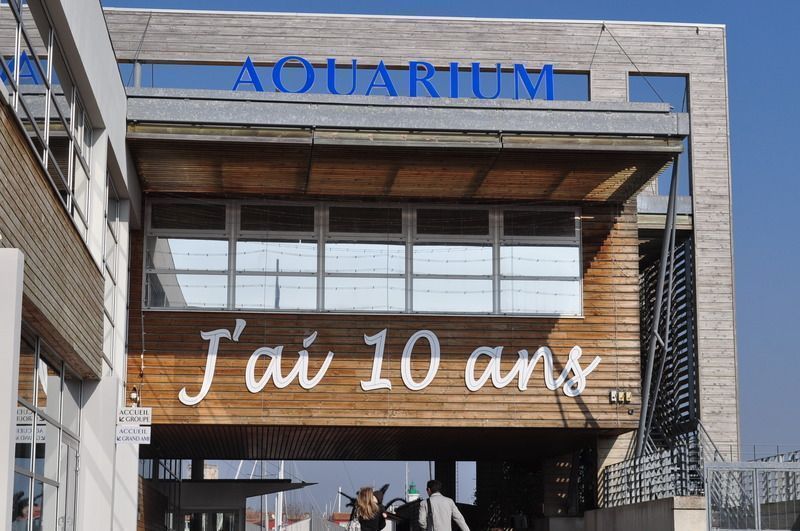 Visite de l aquarium de la rochelle Centerblog